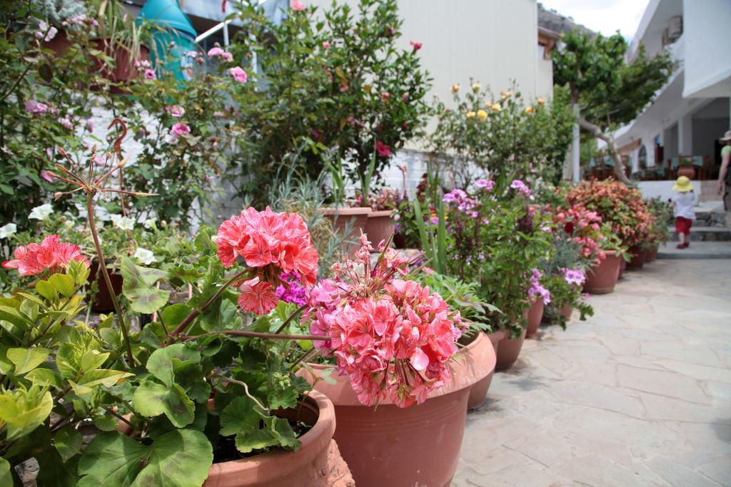Paralia Guest House Agia Roumeli Exteriér fotografie