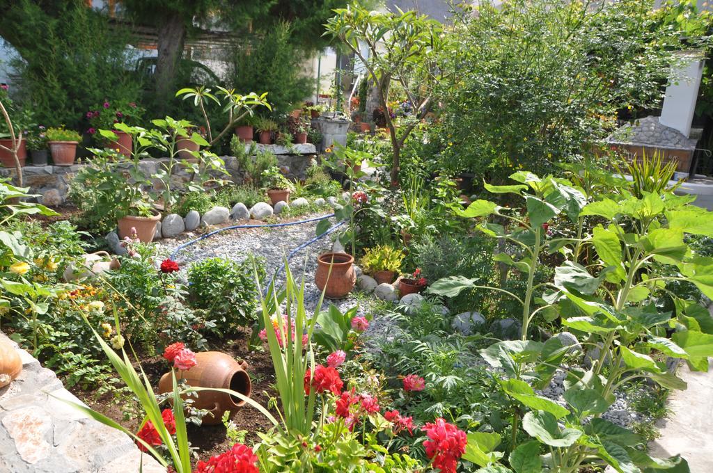 Paralia Guest House Agia Roumeli Exteriér fotografie